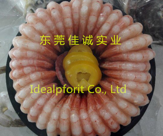 圆盘虾子_副本.jpg